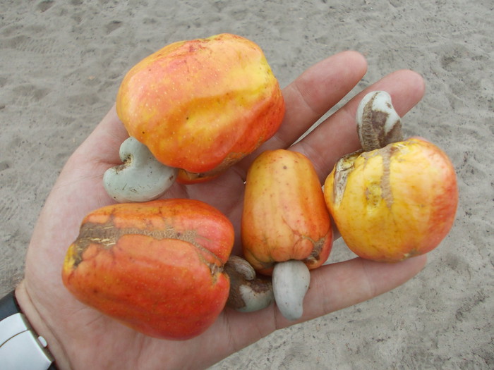 DSCN0907.jpg